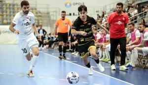 /uploads/assets/6502/DREMAN - ŚLĄSK A (228).JPG